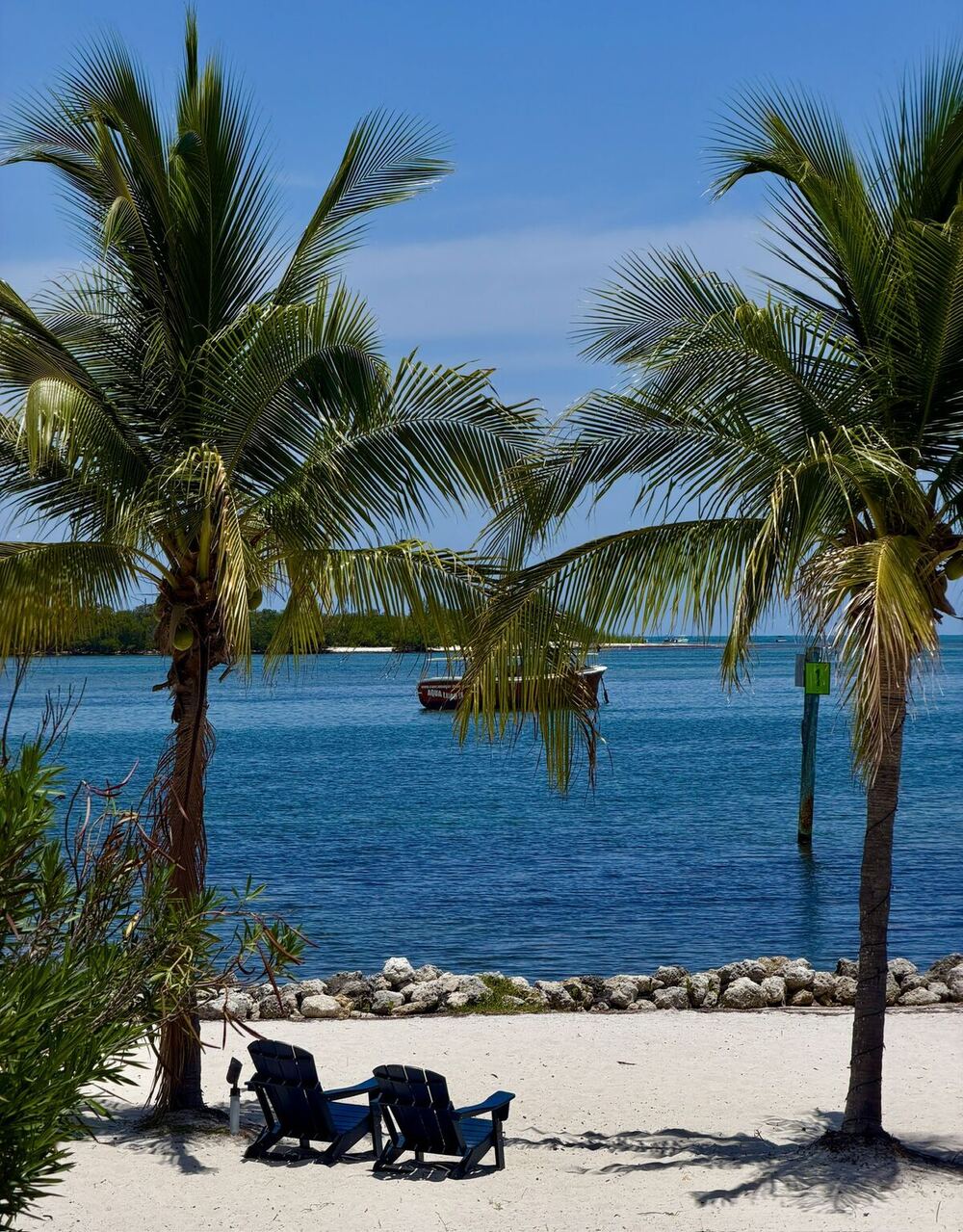 Palms and open water in the Florida Keys